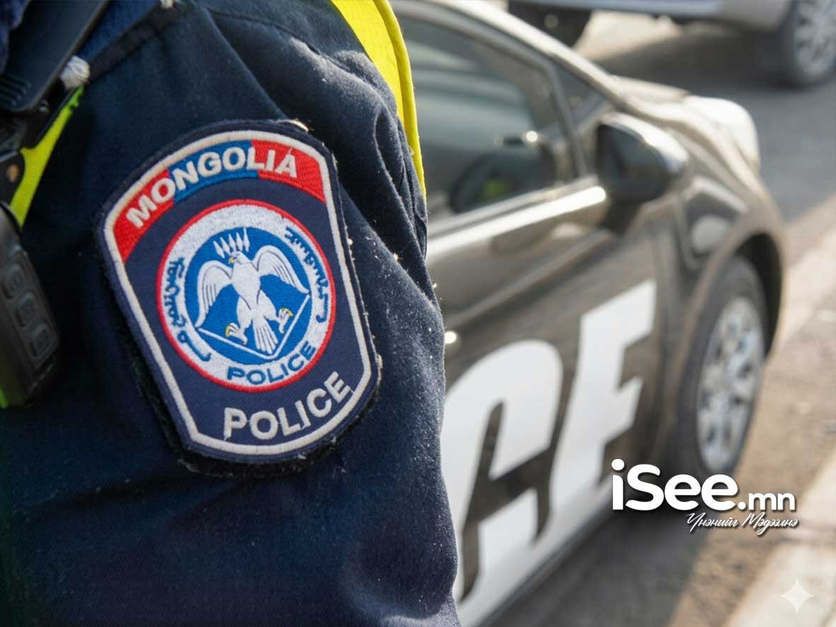 СЭРЭМЖЛҮҮЛЭГ: Сэлэнгэд мал мөргөж, жолооч нь гэмтсэн зам тээврийн осол гарчээ